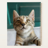 Kutest Baby Animals | Cute Tabby Kitten Planner (Achterkant)