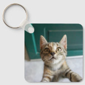 Kutest Baby Animals | Cute Tabby Kitten Sleutelhanger (Voorkant)