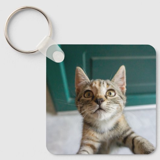 Kutest Baby Animals | Cute Tabby Kitten Sleutelhanger (Voorkant)