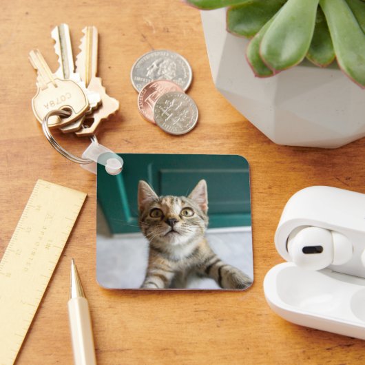 Kutest Baby Animals | Cute Tabby Kitten Sleutelhanger (Bureau)