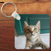 Kutest Baby Animals | Cute Tabby Kitten Sleutelhanger (Voorkant)