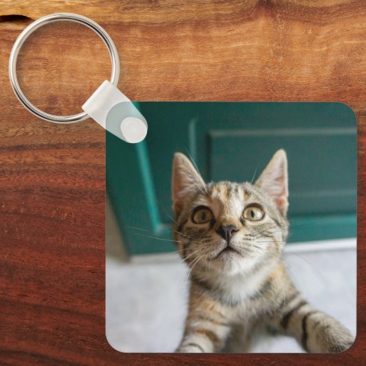 Kutest Baby Animals | Cute Tabby Kitten Sleutelhanger (Voorkant)