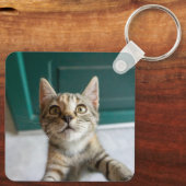 Kutest Baby Animals | Cute Tabby Kitten Sleutelhanger (Achterkant)