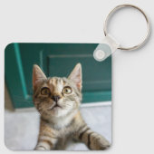 Kutest Baby Animals | Cute Tabby Kitten Sleutelhanger (Achterkant)