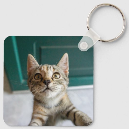 Kutest Baby Animals | Cute Tabby Kitten Sleutelhanger (Achterkant)