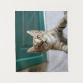 Kutest Baby Animals | Cute Tabby Kitten Wandkleed (Voorkant)