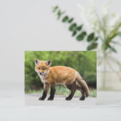 Kutest Baby Animals | Cutey Fox Briefkaart (Staand voorkant)