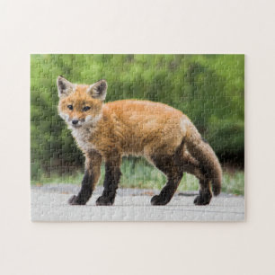 Kutest Baby Animals Cutey Fox Legpuzzel