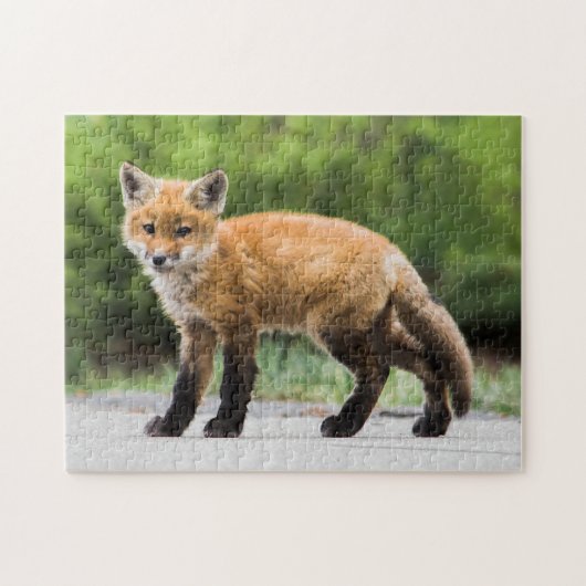 Kutest Baby Animals | Cutey Fox Legpuzzel (Horizontaal)