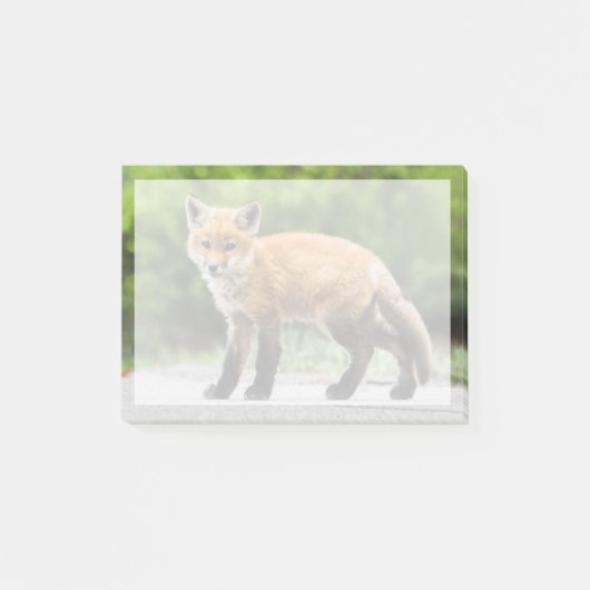 Kutest Baby Animals | Cutey Fox Post-it® Notes (Voorkant)