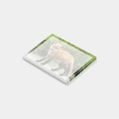 Kutest Baby Animals | Cutey Fox Post-it® Notes (Schuin)