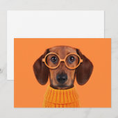 Kutest Baby Animals | Dachshund Oranje Sweater Bedankkaart (Voorkant / Achterkant)
