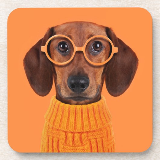 Kutest Baby Animals | Dachshund Oranje Sweater Bier Onderzetter (Voorkant)