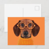 Kutest Baby Animals | Dachshund Oranje Sweater Briefkaart (Voorkant / Achterkant)