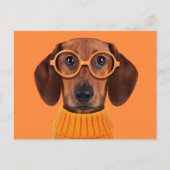 Kutest Baby Animals | Dachshund Oranje Sweater Briefkaart (Voorkant)