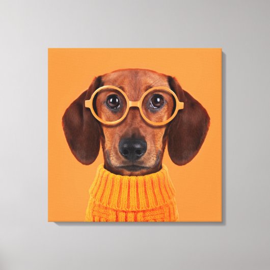 Kutest Baby Animals | Dachshund Oranje Sweater Canvas Afdruk (Voorkant)