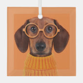 Kutest Baby Animals | Dachshund Oranje Sweater Glas Ornament (Voorkant)