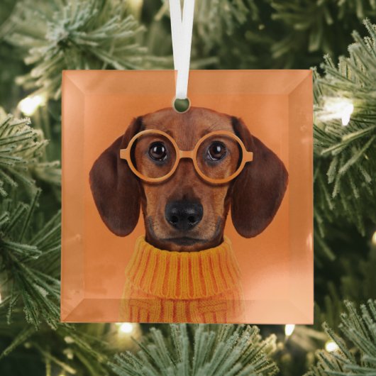 Kutest Baby Animals | Dachshund Oranje Sweater Glas Ornament (Insitu)