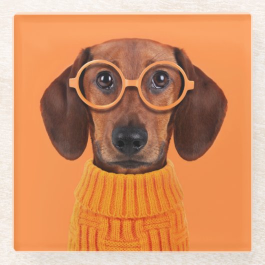 Kutest Baby Animals | Dachshund Oranje Sweater Glazen Onderzetter (Voorkant)
