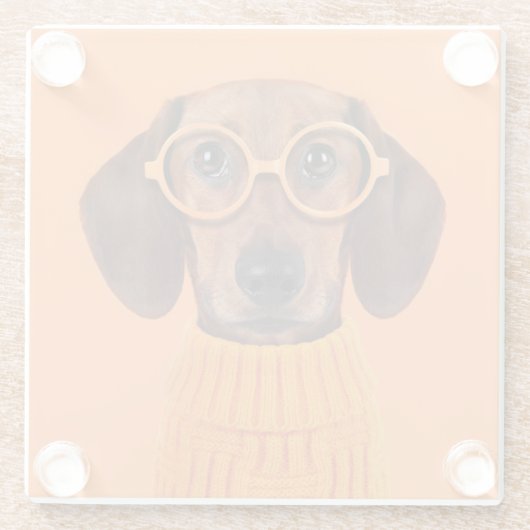Kutest Baby Animals | Dachshund Oranje Sweater Glazen Onderzetter (Achterkant)