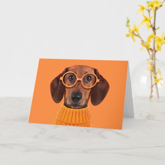 Kutest Baby Animals | Dachshund Oranje Sweater Kaart (Gele Bloem)
