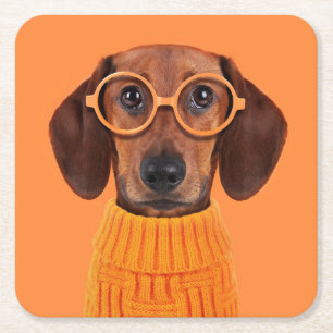 Kutest Baby Animals   Dachshund Oranje Sweater Kartonnen Onderzetters