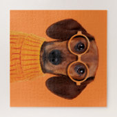 Kutest Baby Animals | Dachshund Oranje Sweater Legpuzzel (Horizontaal)