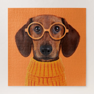 Kutest Baby Animals   Dachshund Oranje Sweater Legpuzzel