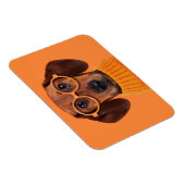 Kutest Baby Animals | Dachshund Oranje Sweater Magneet (Rechterzijde)