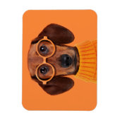 Kutest Baby Animals | Dachshund Oranje Sweater Magneet (Verticaal)