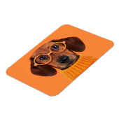 Kutest Baby Animals | Dachshund Oranje Sweater Magneet (Linkerzijde)