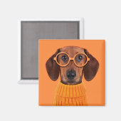 Kutest Baby Animals | Dachshund Oranje Sweater Magneet (Voorkant / Achterkant)