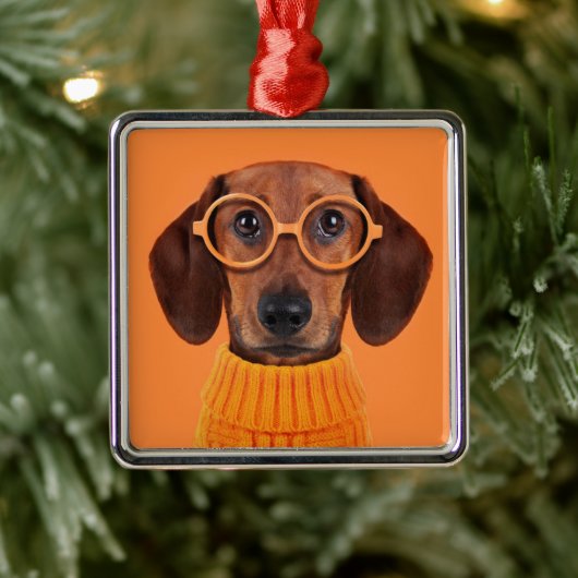 Kutest Baby Animals | Dachshund Oranje Sweater Metalen Ornament (Boom)