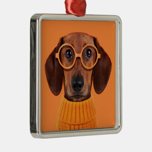 Kutest Baby Animals | Dachshund Oranje Sweater Metalen Ornament (Rechts)