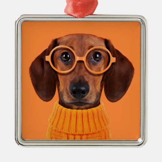 Kutest Baby Animals | Dachshund Oranje Sweater Metalen Ornament (Voorkant)