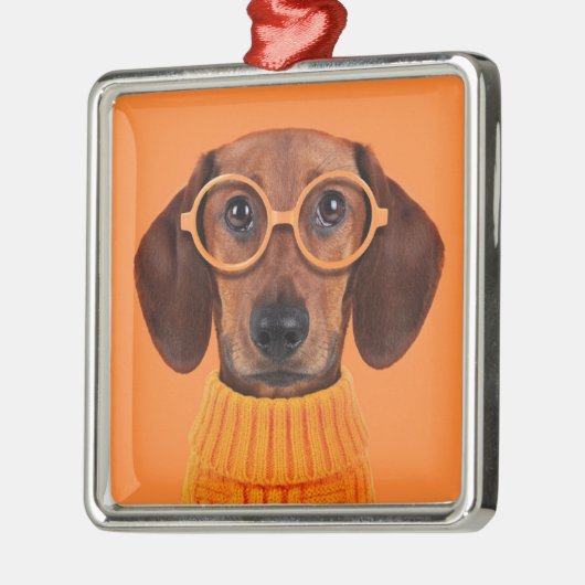 Kutest Baby Animals | Dachshund Oranje Sweater Metalen Ornament (Links)