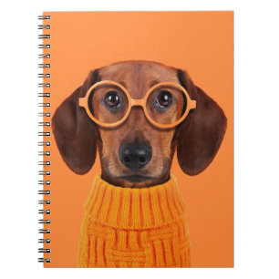 Kutest Baby Animals   Dachshund Oranje Sweater Notitieboek