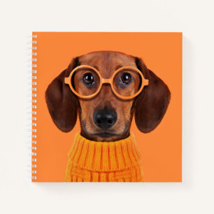 Kutest Baby Animals   Dachshund Oranje Sweater Notitieboek