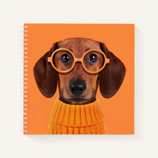 Kutest Baby Animals | Dachshund Oranje Sweater Notitieboek (Voorkant)