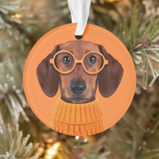 Kutest Baby Animals | Dachshund Oranje Sweater Ornament (Boom)