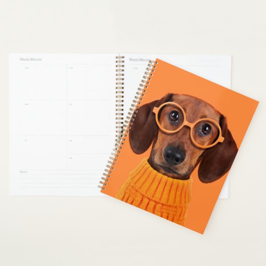 Kutest Baby Animals | Dachshund Oranje Sweater Planner (Display)