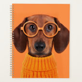 Kutest Baby Animals | Dachshund Oranje Sweater Planner (Voorkant)