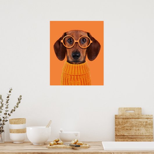 Kutest Baby Animals | Dachshund Oranje Sweater Poster (Keuken)