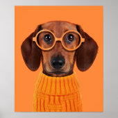 Kutest Baby Animals | Dachshund Oranje Sweater Poster (Voorkant)