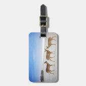 Kutest Baby Animals | Deer bij de strand Bagagelabel (Voorkant verticaal)