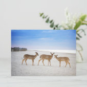 Kutest Baby Animals | Deer bij de strand Bedankkaart (Staand voorkant)
