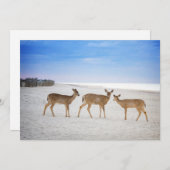 Kutest Baby Animals | Deer bij de strand Bedankkaart (Voorkant / Achterkant)