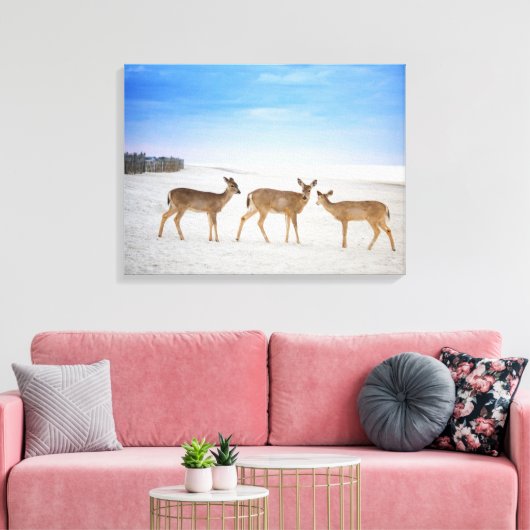 Kutest Baby Animals | Deer bij de strand Canvas Afdruk (Insitu (Woonkamer))