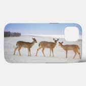 Kutest Baby Animals | Deer bij de strand Case-Mate iPhone Case (Achterkant (horizontaal))
