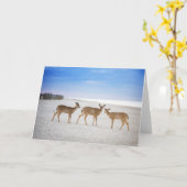 Kutest Baby Animals | Deer bij de strand Kaart (Gele Bloem)